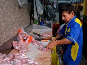 کاهش قیمت مرغ در بازار 8 کاهش قیمت مرغ در بازار