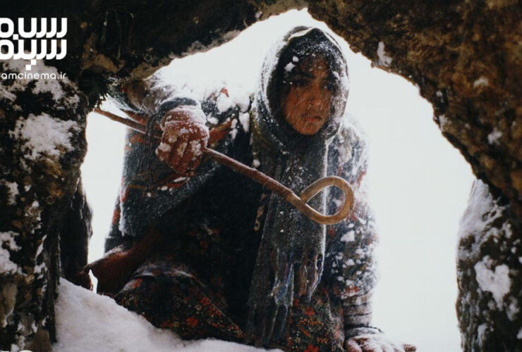 تصاویر گلشیفته فراهانی و پارسا پیروزفر در فیلم/عکس ۲۲ سال پیش