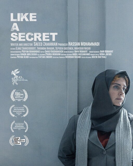 اکران آنلاین فیلم با بازی الناز شاکردوست