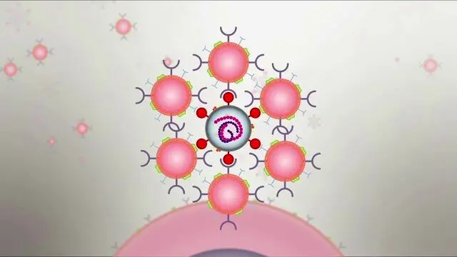 اسفنجی که خونریزی را متوقف می کند! 1 اسفنجی که خونریزی را متوقف می کند!