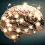 اگر نگران مغز خود هستید، این کار ساده را در اولویت قرار دهید