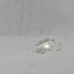 بارش شدید برف در نیویورک