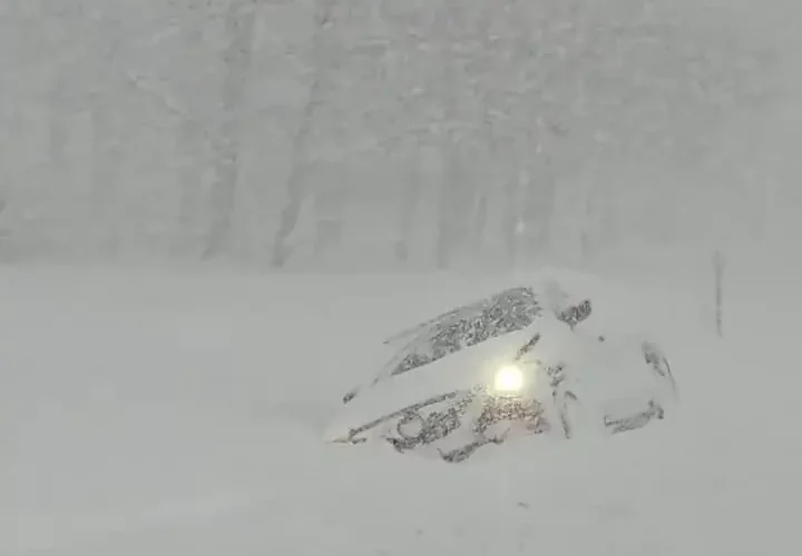 بارش شدید برف در نیویورک 20 بارش شدید برف در نیویورک