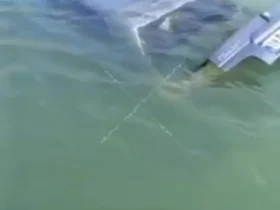 تصادف خودرو به سد مهاباد راننده فوت کرد