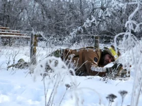 تصاویر; صحنه هایی از خط مقدم یخ زده جنگ اوکراین 9 تصاویر; صحنه هایی از خط مقدم یخ زده جنگ اوکراین