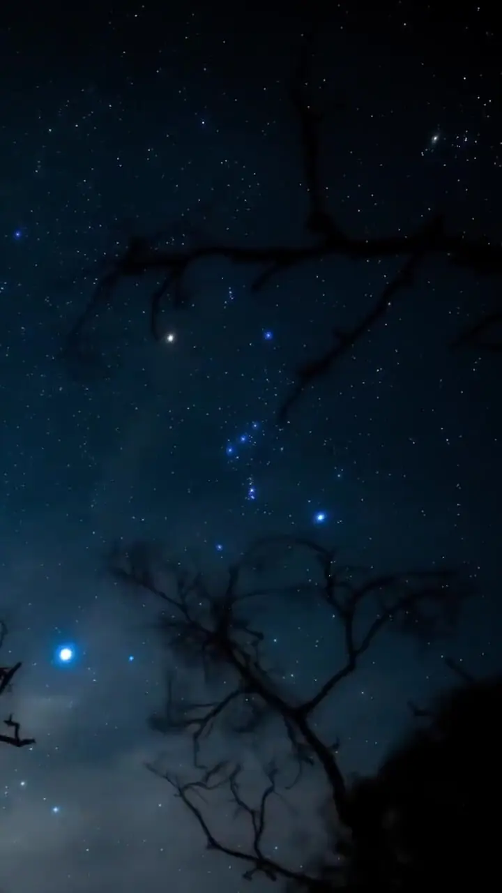 تصویر تایم لپس دیدنی شکارچی، سیریوس، مریخ و خوشه پروین در آسمان هاوایی