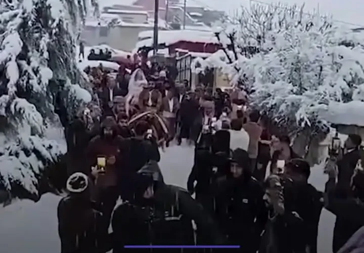 جشن عروسی سوار بر اسب و زیر برف