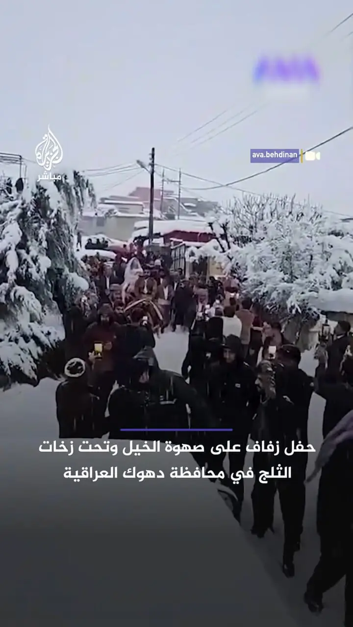 جشن عروسی سوار بر اسب و زیر برف