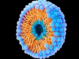 حباب ها به حمله سرطان کمک می کنند و آن را متوقف می کنند!