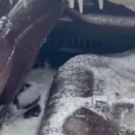 خودروی سرقتی بی ام و به دلیل سرمای شدید یخ زد