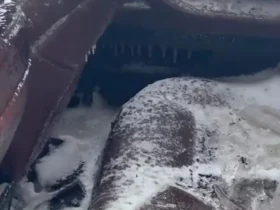 خودروی سرقتی بی ام و به دلیل سرمای شدید یخ زد 8 خودروی سرقتی بی ام و به دلیل سرمای شدید یخ زد