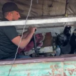 در غزه به جای کپسول اکسیژن از پمپ ها استفاده می شود