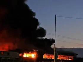 علت آتش سوزی کارخانه کله آمل چه بود؟