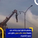 مردی که از جرثقیل آویزان شده است تا پرنده را نجات دهد