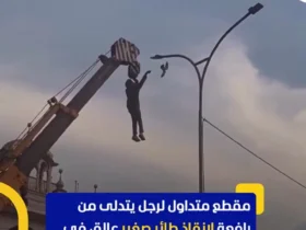 مردی که از جرثقیل آویزان شده است تا پرنده را نجات دهد