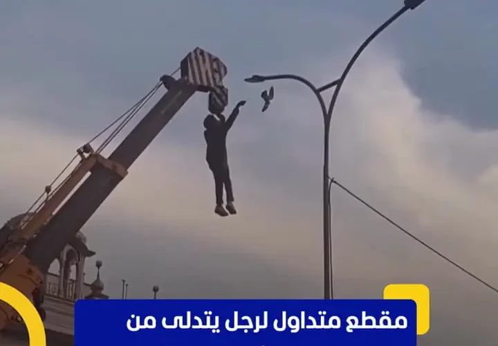 مردی که از جرثقیل آویزان شده است تا پرنده را نجات دهد