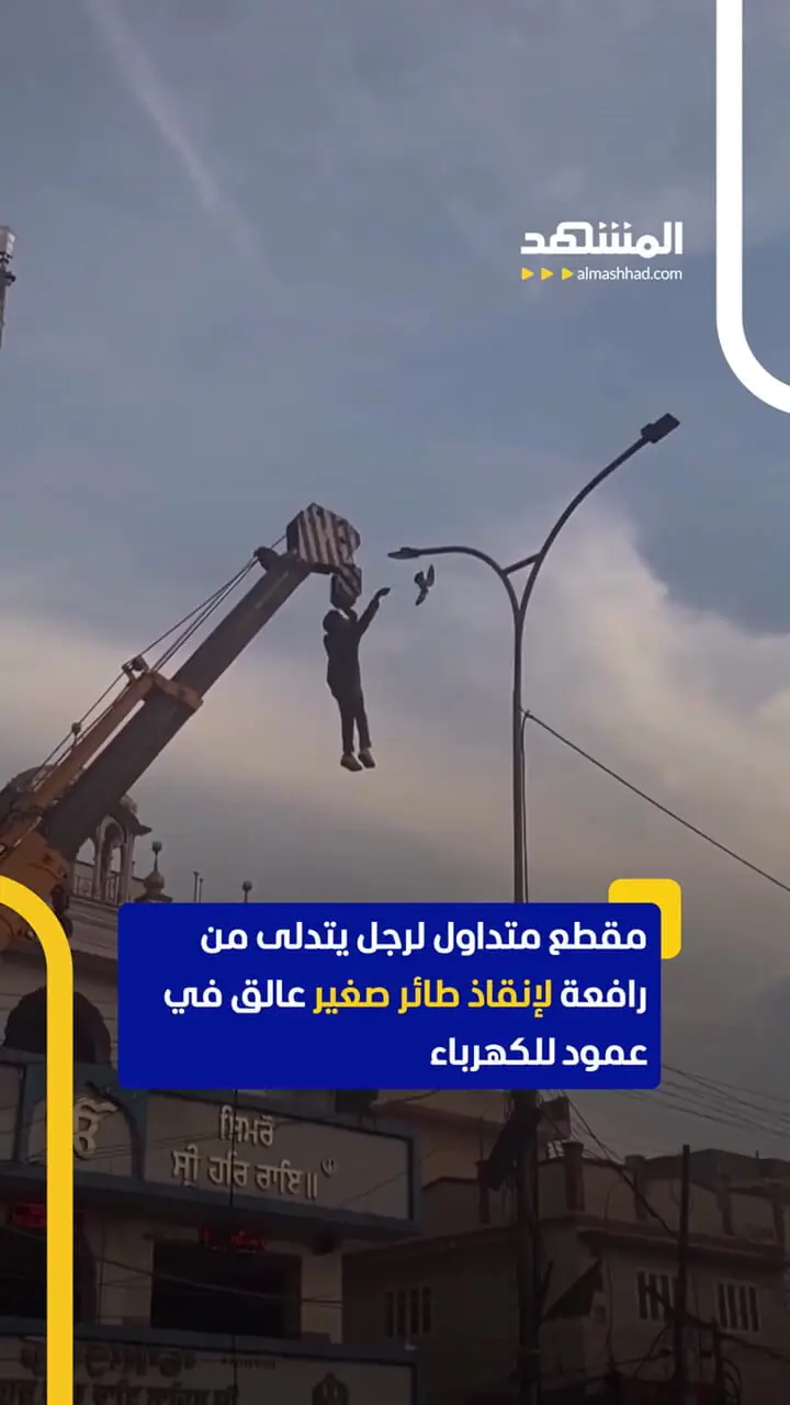 مردی که از جرثقیل آویزان شده است تا پرنده را نجات دهد 1 مردی که از جرثقیل آویزان شده است تا پرنده را نجات دهد