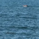 نیروی دریایی اسرائیل به سمت قایق ماهیگیر فلسطینی تیراندازی کرد