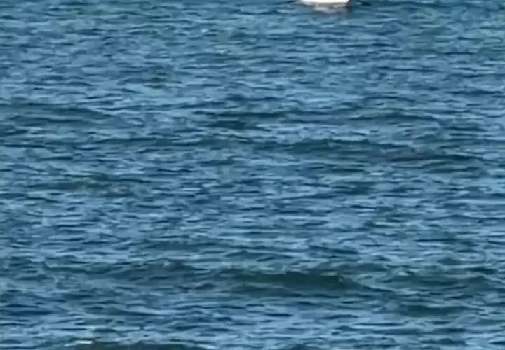 نیروی دریایی اسرائیل به سمت قایق ماهیگیر فلسطینی تیراندازی کرد