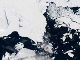 هشدار جدید از زلزله کامل/یخچال روز قیامت 9 هشدار جدید از زلزله کامل/یخچال روز قیامت