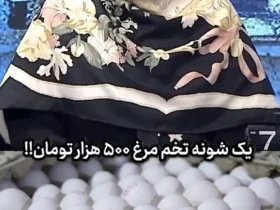 واکنش المیرا شریفی مقدم به 500 هزار تخم مرغ تیومنی!