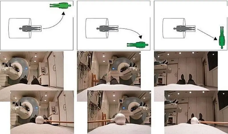 با خروج روح از بدن چه اتفاقی در مغز می افتد؟ 1 458070_667