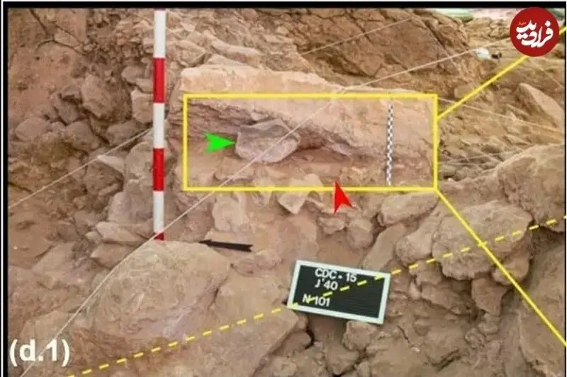 نئاندرتال ها