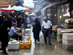 سازمان بازاریان رشت/جزئیات انتقال بازاریان به مجتمع تجاری