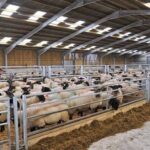 هزینه ایثار حج 1405 اعلام شد