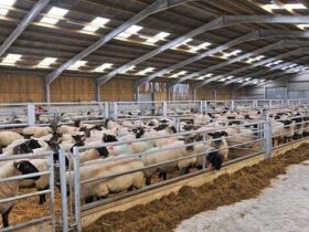 هزینه ایثار حج 1405 اعلام شد