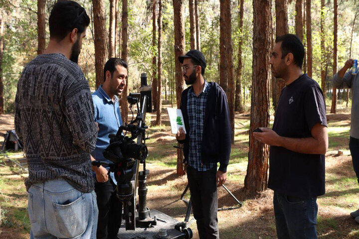 رسیدگی به نگرانی های وحدت و محیط زیست؛ درختان چگونه شهر را نجات دادند؟