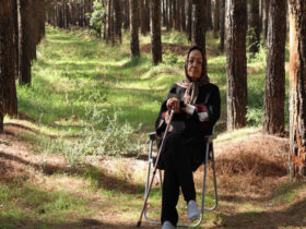 رسیدگی به نگرانی های وحدت و محیط زیست؛ درختان چگونه شهر را نجات دادند؟