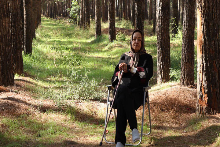 رسیدگی به نگرانی های وحدت و محیط زیست؛ درختان چگونه شهر را نجات دادند؟