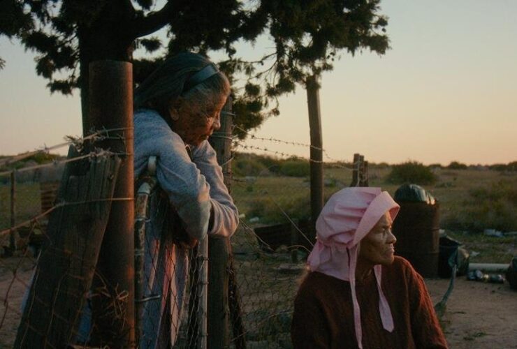 با برندگان جشنواره روتردام 2026 آشنا شوید