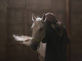 «یک زن خوب» داستان ترس، عشق و بازسازی رابطه است