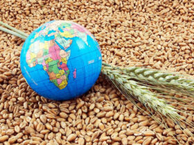 امنیت غذایی؛ خط مقدم مبارزه با فقر و نابرابری