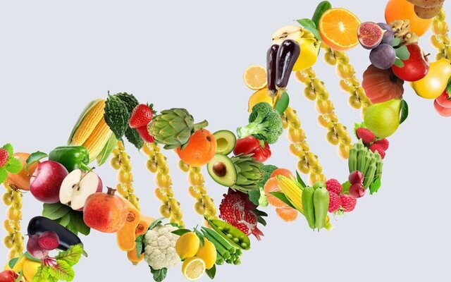 گزینه های وعده غذایی روزانه؛ عامل نادیده گرفته شده در مبارزه با سرطان