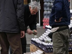 بحث قیمت تخم مرغ در بازار