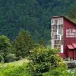 معماری جالب خانه با هزار پنجره در ژاپن; ساخته شده از 80% مواد بازیافتی