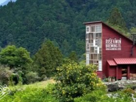 معماری جالب خانه با هزار پنجره در ژاپن; ساخته شده از 80% مواد بازیافتی