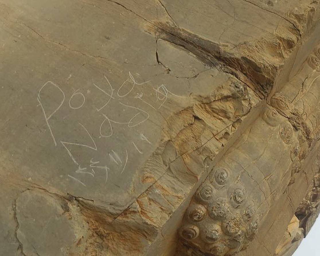 1771061100 248 نادیا و پویا؛ آیا نام های ماندگار بر دیوار تخت