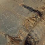 از ثبت جهانی تا پیگرد قانونی؛ داستان یک سوغاتی گران قیمت