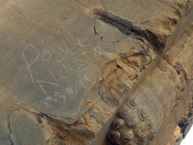 از ثبت جهانی تا پیگرد قانونی؛ داستان یک سوغاتی گران قیمت