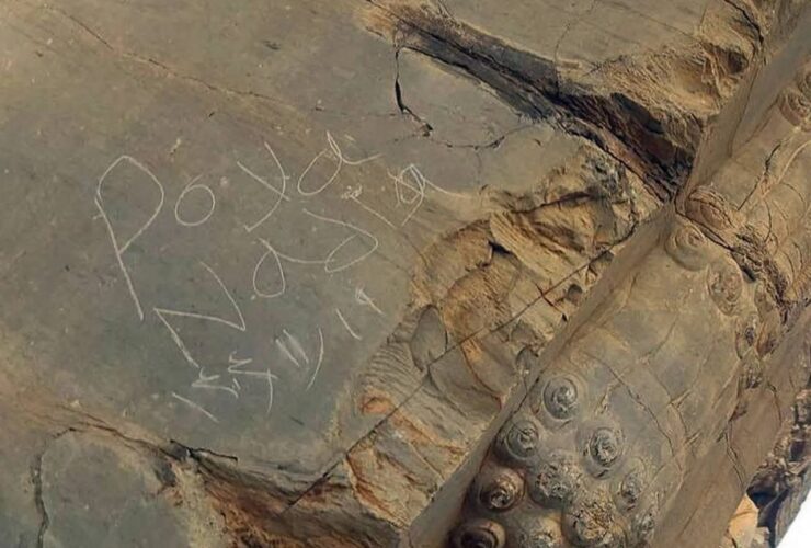 از ثبت جهانی تا پیگرد قانونی؛ داستان یک سوغاتی گران قیمت