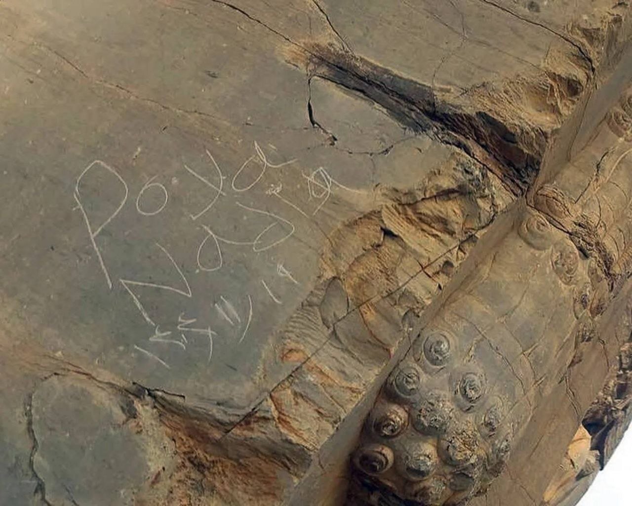 از ثبت جهانی تا پیگرد قانونی؛ داستان یک سوغاتی گران قیمت