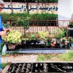 مستندی درباره لحظه انتخاب بین انتقام و بخشش