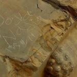 خاطرات از دروازه ملل در تخت جمشید پاک شد/ محاکمه جنایتکاران در دستگاه قضایی