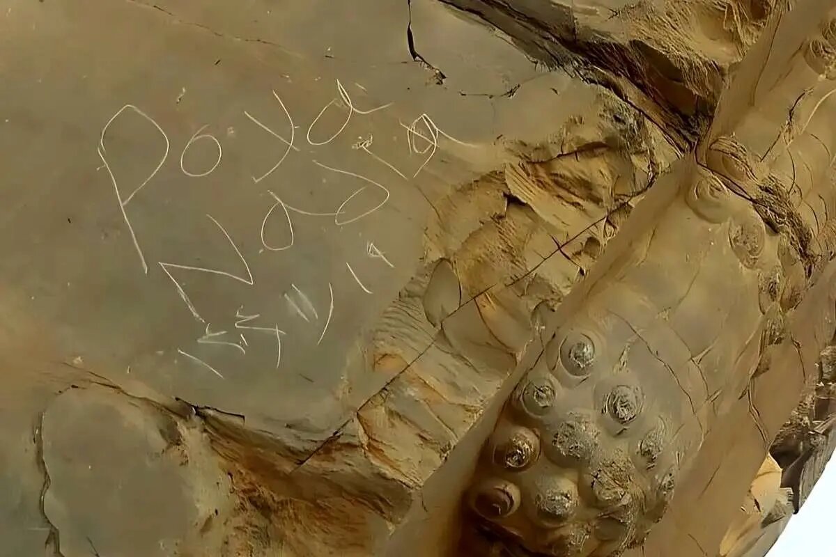 خاطرات از دروازه ملل در تخت جمشید پاک شد/ محاکمه جنایتکاران در دستگاه قضایی