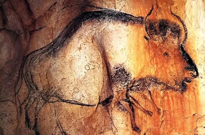 تصاویری باشکوه از نقاشی های 36 هزار ساله 5 جدول