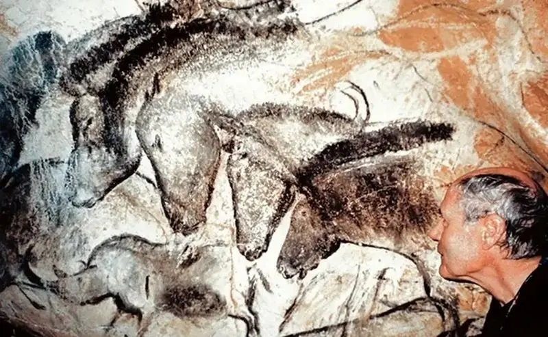 تصاویری باشکوه از نقاشی های 36 هزار ساله 1 جدول